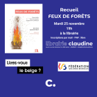 feux_de_foret_25112025.png